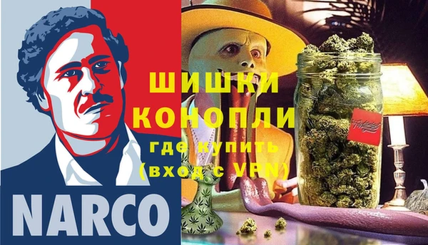 ПСИЛОЦИБИНОВЫЕ ГРИБЫ Гусь-Хрустальный