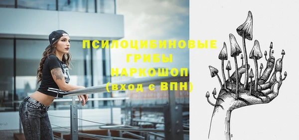 прущий лед Богородицк