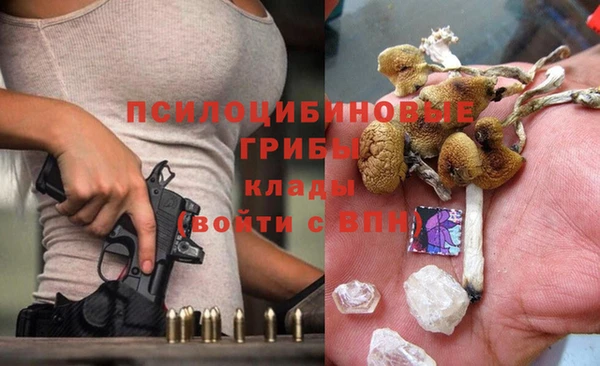 молекула духа Богородск