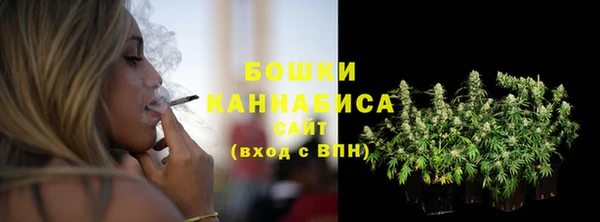 apvp Гусиноозёрск