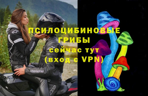 прущий лед Богородицк