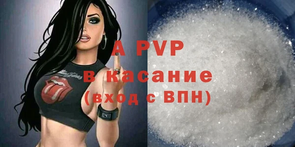 молекула духа Богородск
